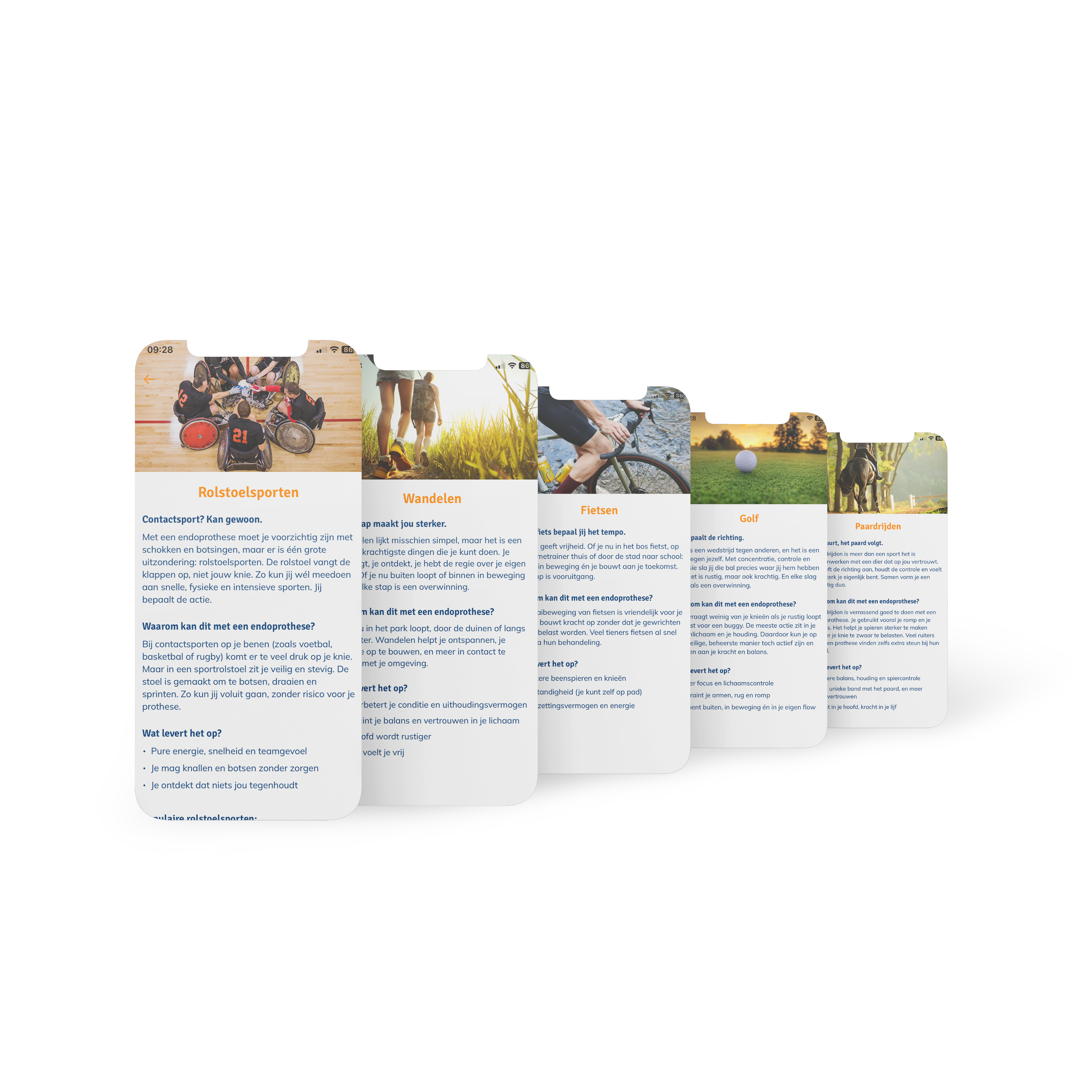 App mockup 6 — status